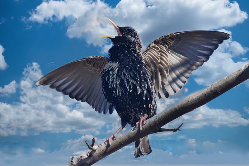 Веснааа..photo preview