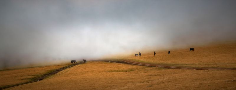 туман надвигаетсяphoto preview