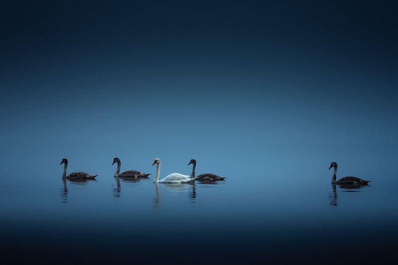 2024-09-27photo preview