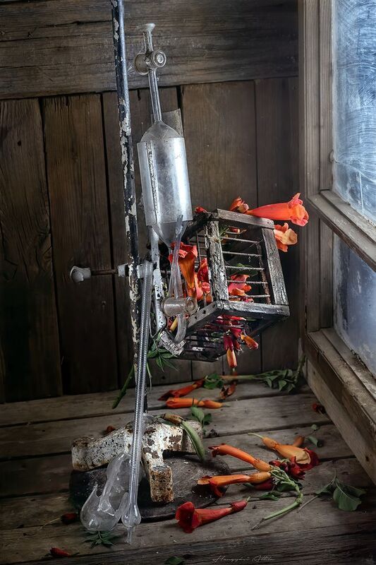 still life, kémia, kisérlet, kémcső, pipetta, virág, enyészet, beteség Kétségbeesett életmentési labor kísérletphoto preview