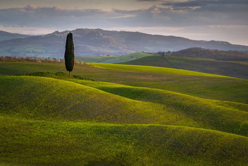 Среди холмовphoto preview