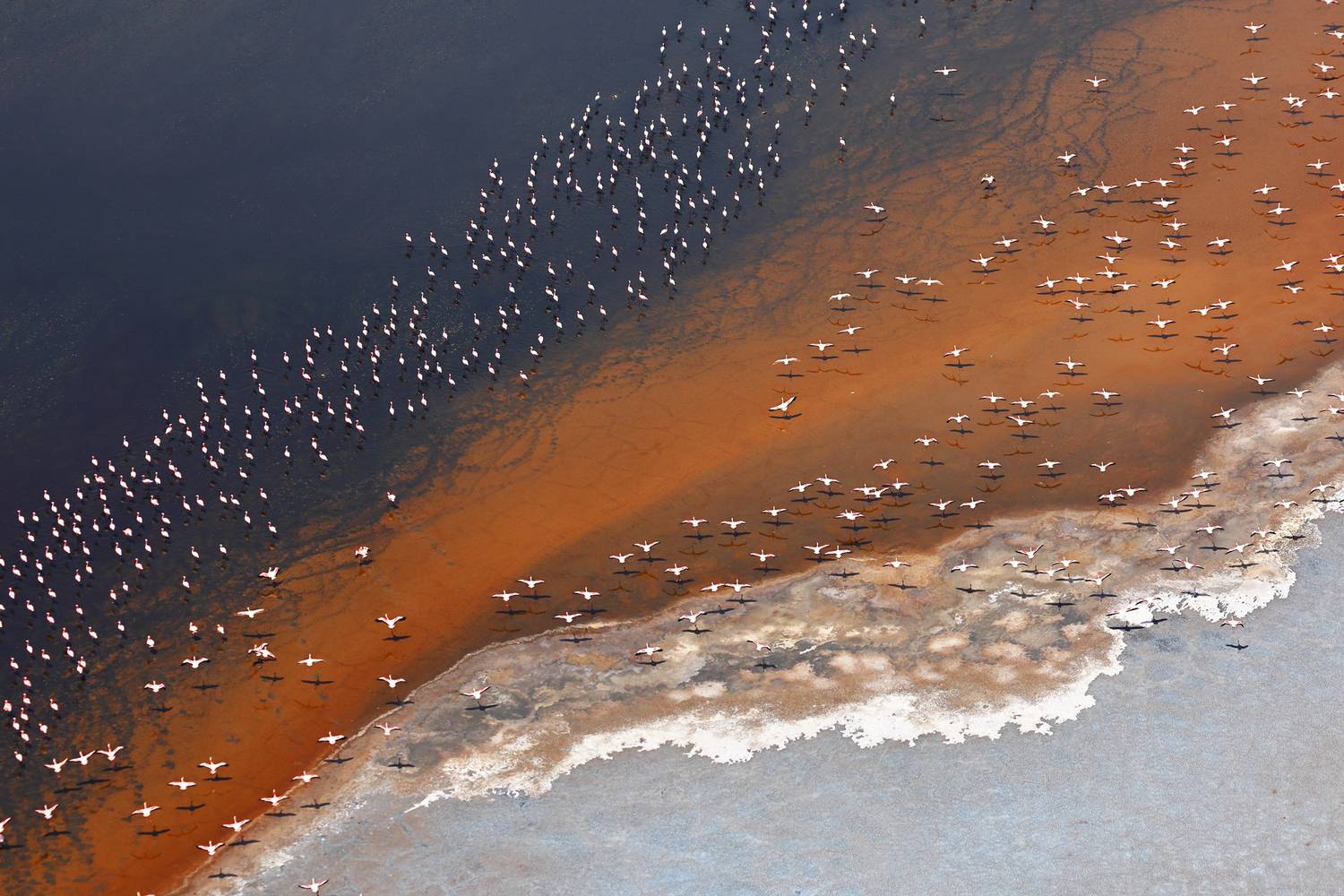 Автор: Гудков Андрей , Гудков Андрей