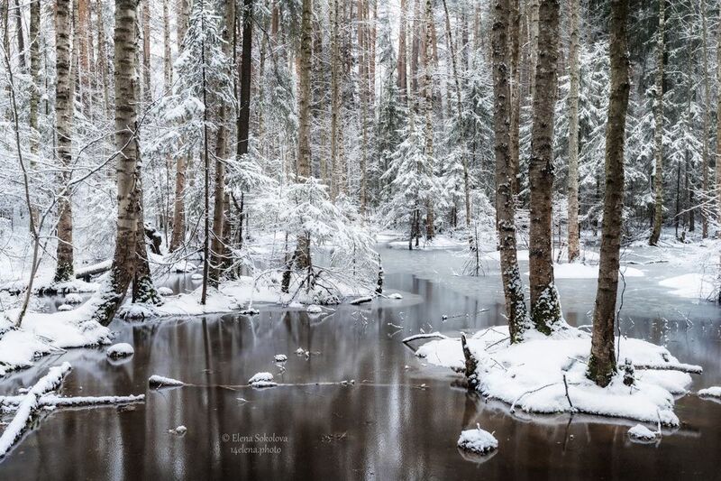Апрельский снегопад фото превью