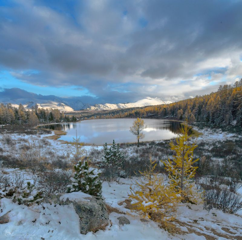 Между осенью и зимойphoto preview