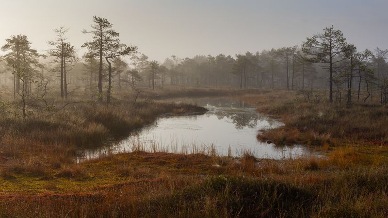 Формы и линииphoto preview