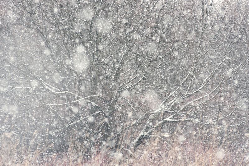 Апрельский снег фото превью