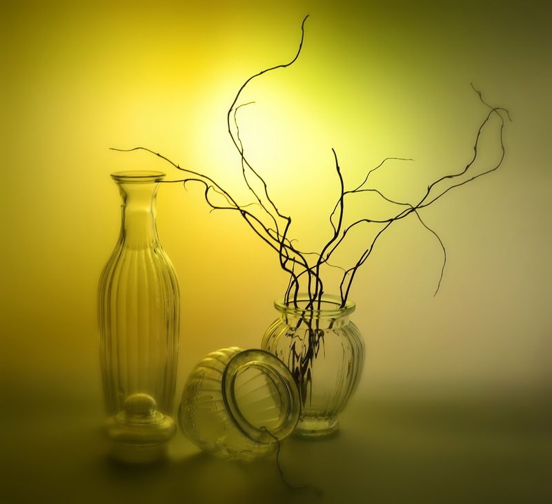 натюрморт,композиция,свет,ветки ***photo preview