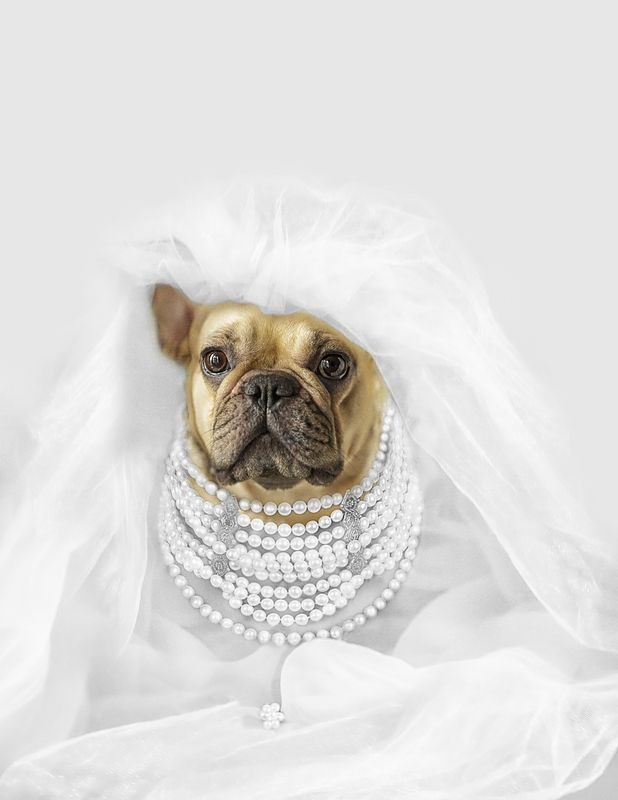 Невестаphoto preview