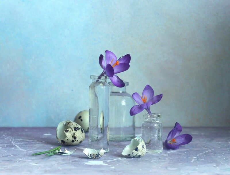 Весна. Новая жизнь...photo preview