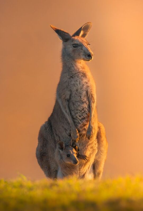 Mother and Childphoto preview