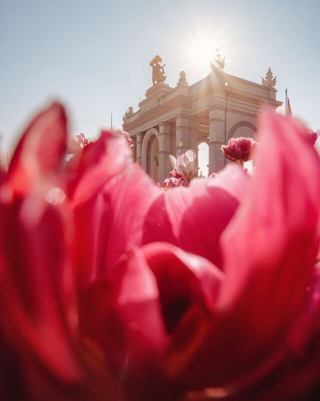 москва, весна, тюльпаны, вднх, архитектура, город, moscow, spring ВДНХphoto preview