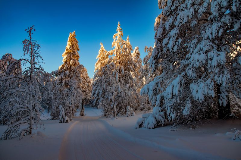 Вечерняя трассаphoto preview