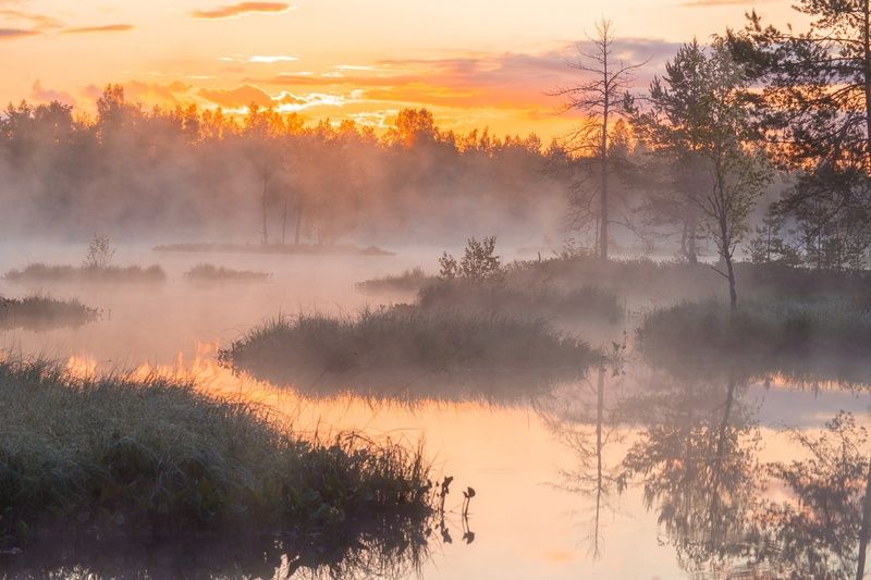 Перед рассветомphoto preview
