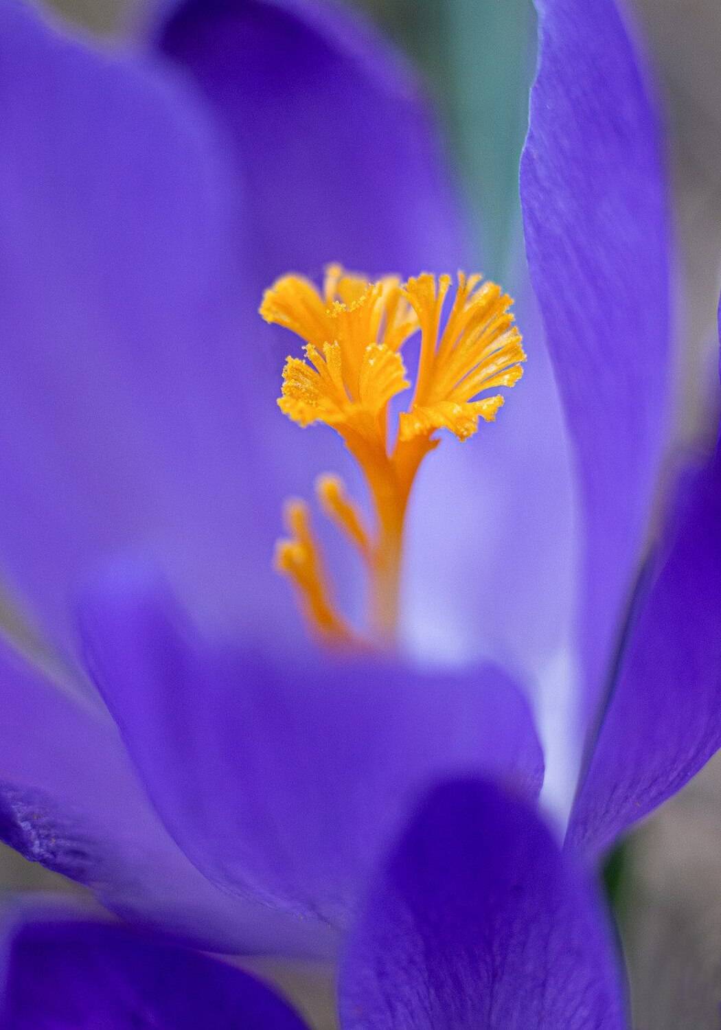 Автор: Черновол Валентин , Черновол Валентин