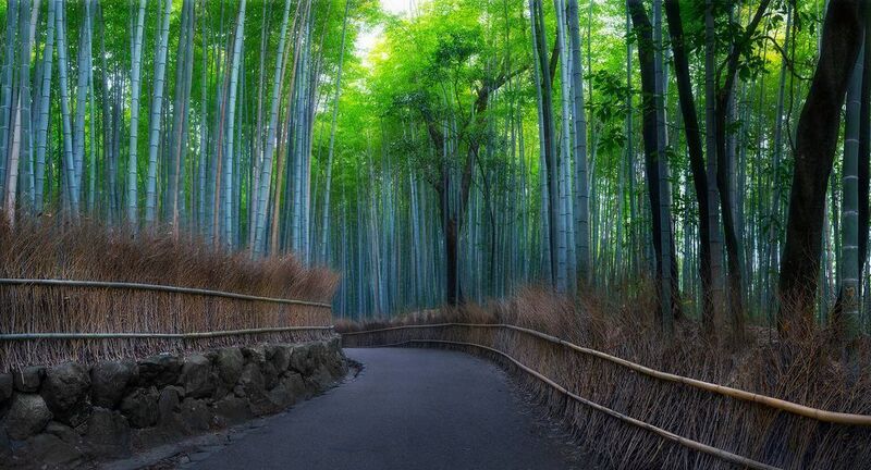 Arashiyama, Bamboo, Forest, Kyoto, Japan Arashiyama Bamboo Forestphoto preview