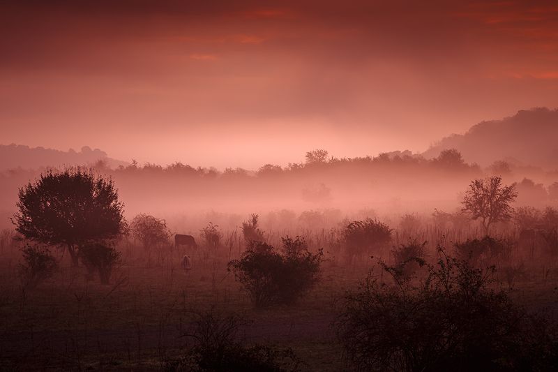 2024-09-29photo preview