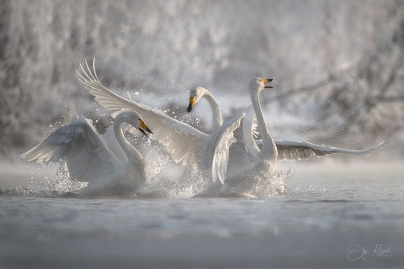 Время весны фото превью
