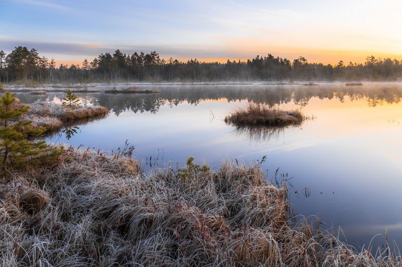 пейзаж Место встречи - болото...photo preview