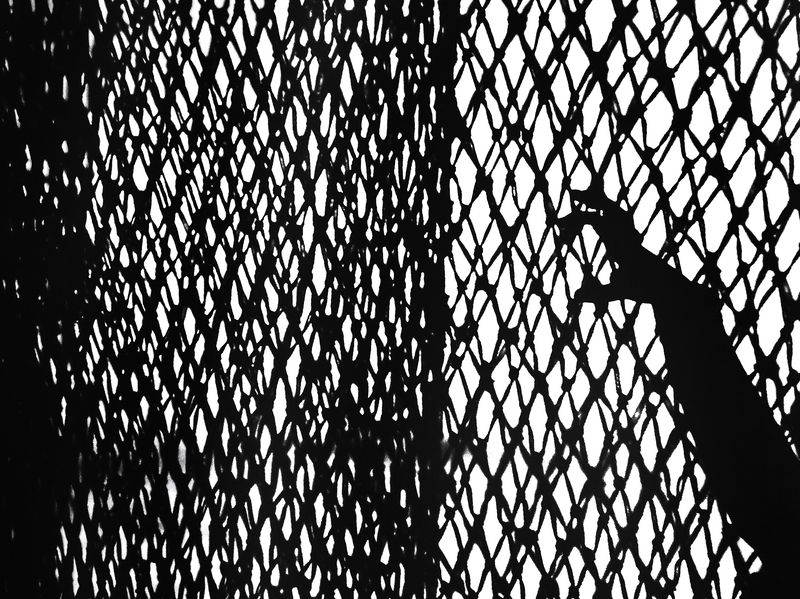 Сеть, рука Пойман фото превью