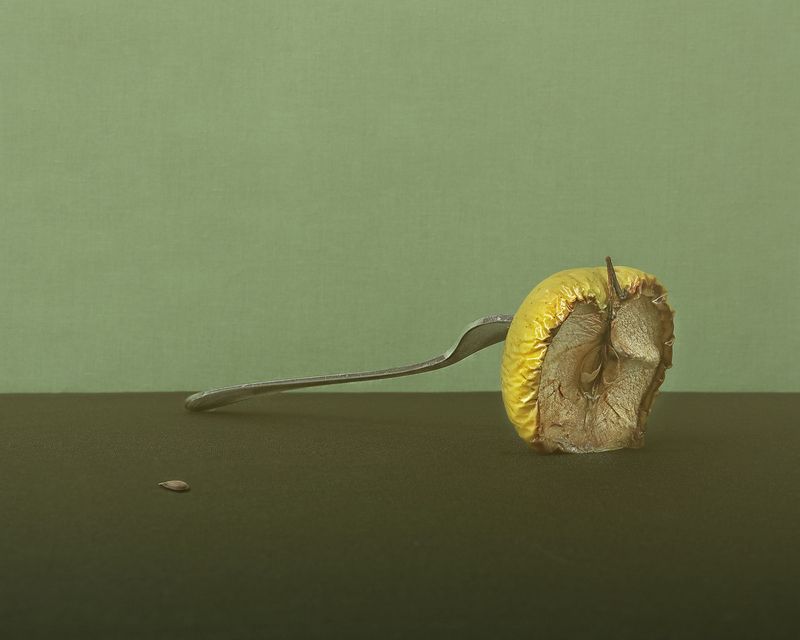 Про яблоко и его семечкоphoto preview