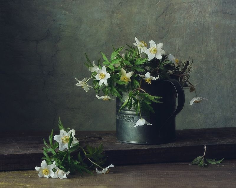 натюрморт,весна,ветреницы,первоцветв,анемоны ветреницы...photo preview