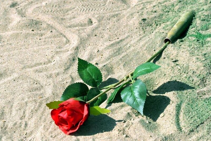 A world filled with bloodphoto preview