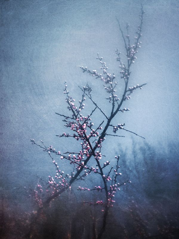 весна Апрель.photo preview