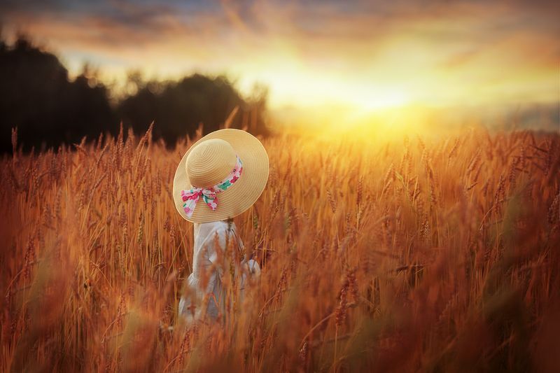 солнечный вечер фото превью