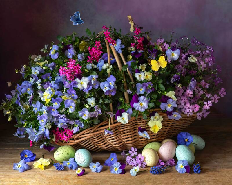 Easter Bloomsphoto preview