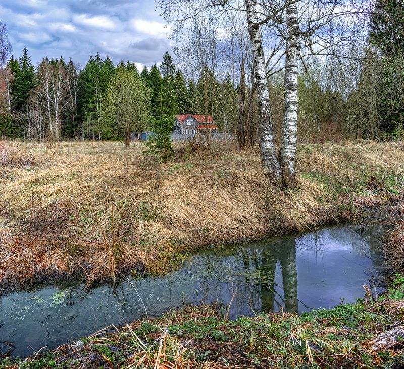 весна, опушка, домик, берёзы После зимыphoto preview