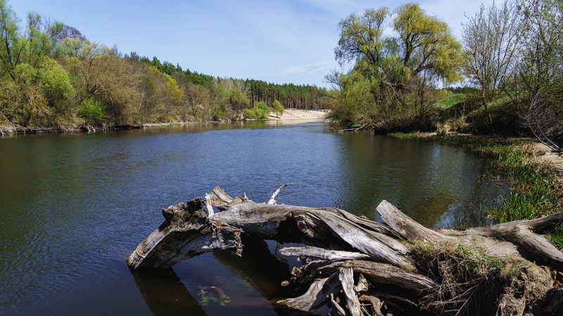 Апрельphoto preview