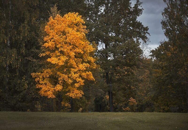 не как все фото превью