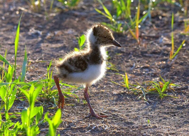 Познание мираphoto preview