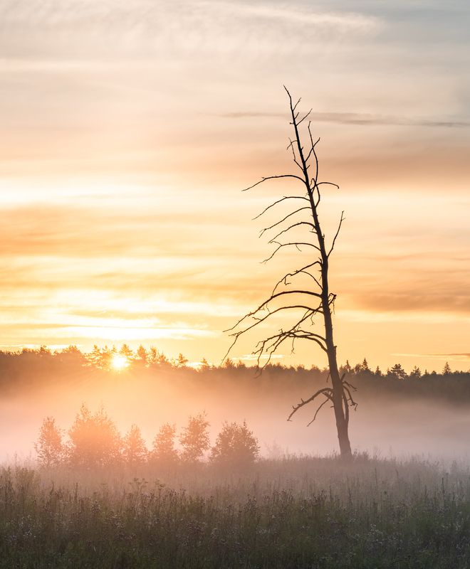 ......!photo preview