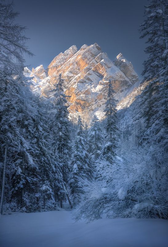 The Crownphoto preview