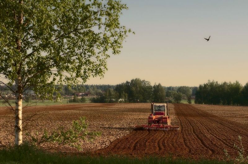 Время сеятьphoto preview