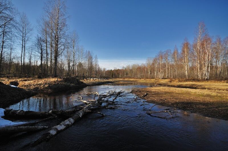 Весенняя Барановкаphoto preview
