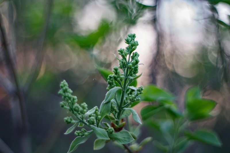 Предчувствие фото превью