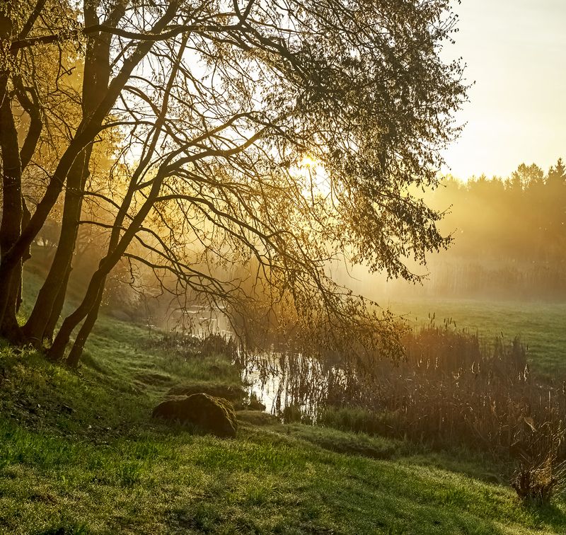 morning light Morning lightphoto preview