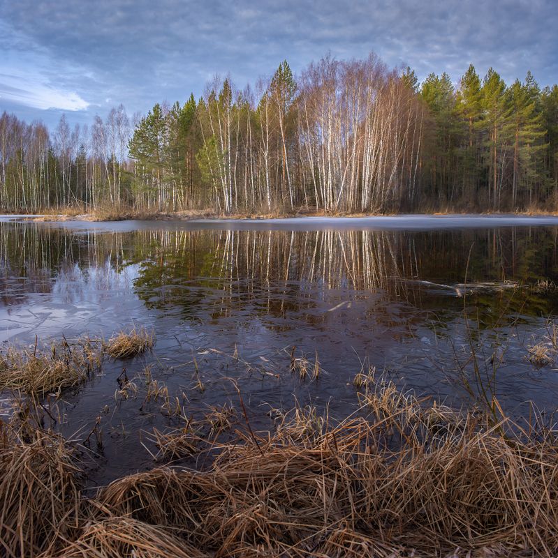 апрель утро ледок суходол половодье серково Утро последнего льдаphoto preview