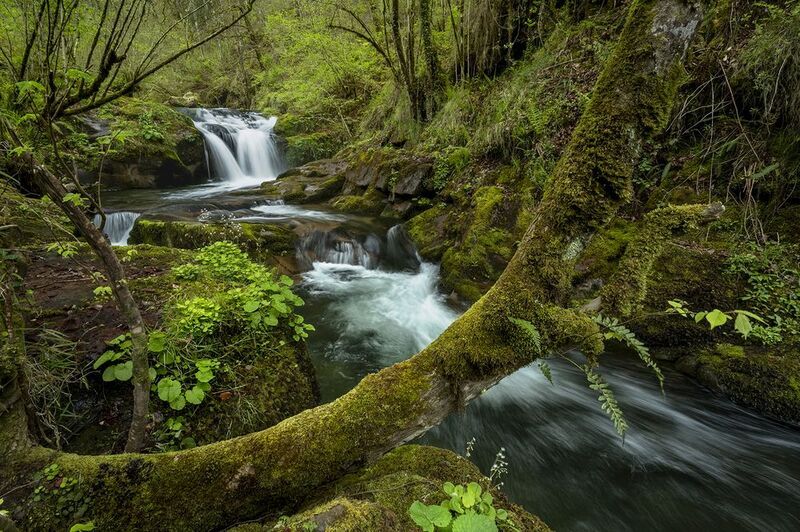 photo, photography, picture, land, landscape, nature, autumn, river, color, mood , colorful, snow, winter,color,nobody,mountains,storm Lecho primaveralphoto preview