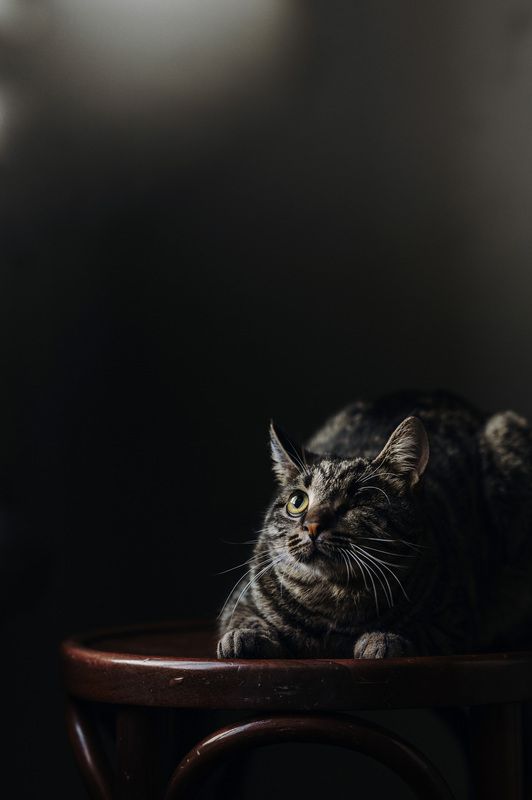 Васяphoto preview