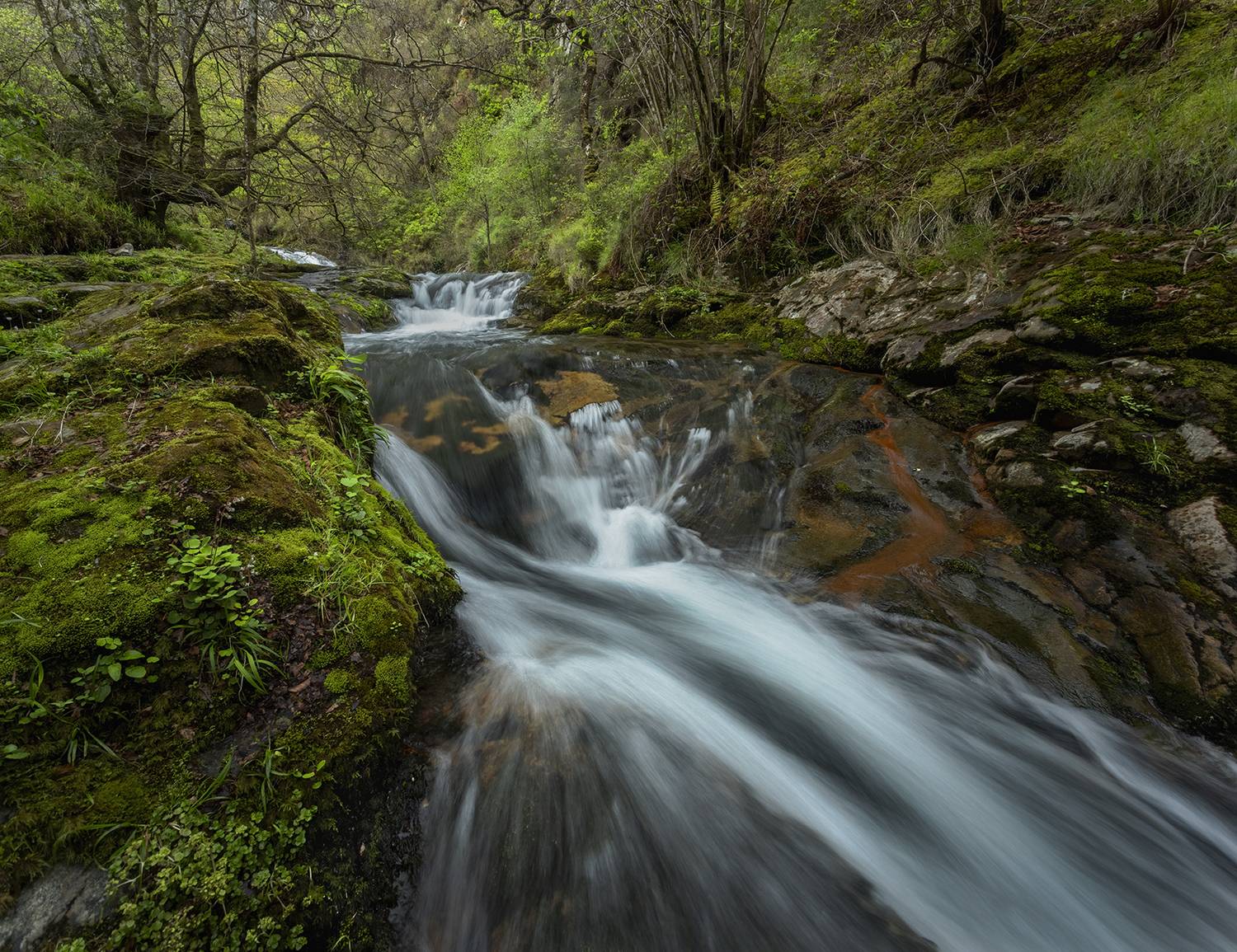 photo, photography, picture, land, landscape, nature, spring, river, color, mood , colorful, green, ,color,nobody,mountains,storm,forest,river, jimenez millan samuel