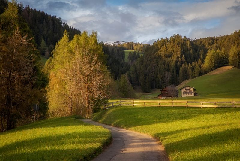 Вечерняя дорогаphoto preview