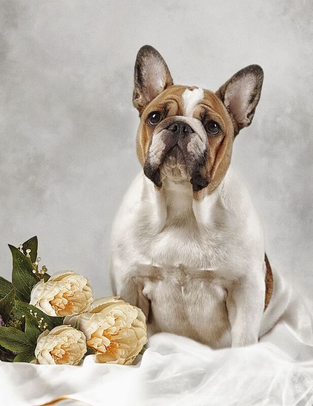 Принцесса Люблюphoto preview