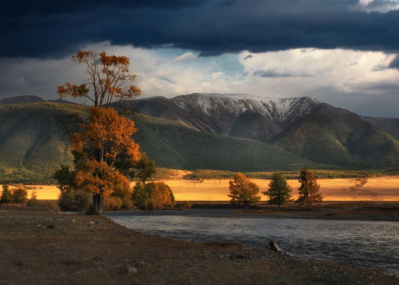 алтай,  горный алтай, курай Курайphoto preview