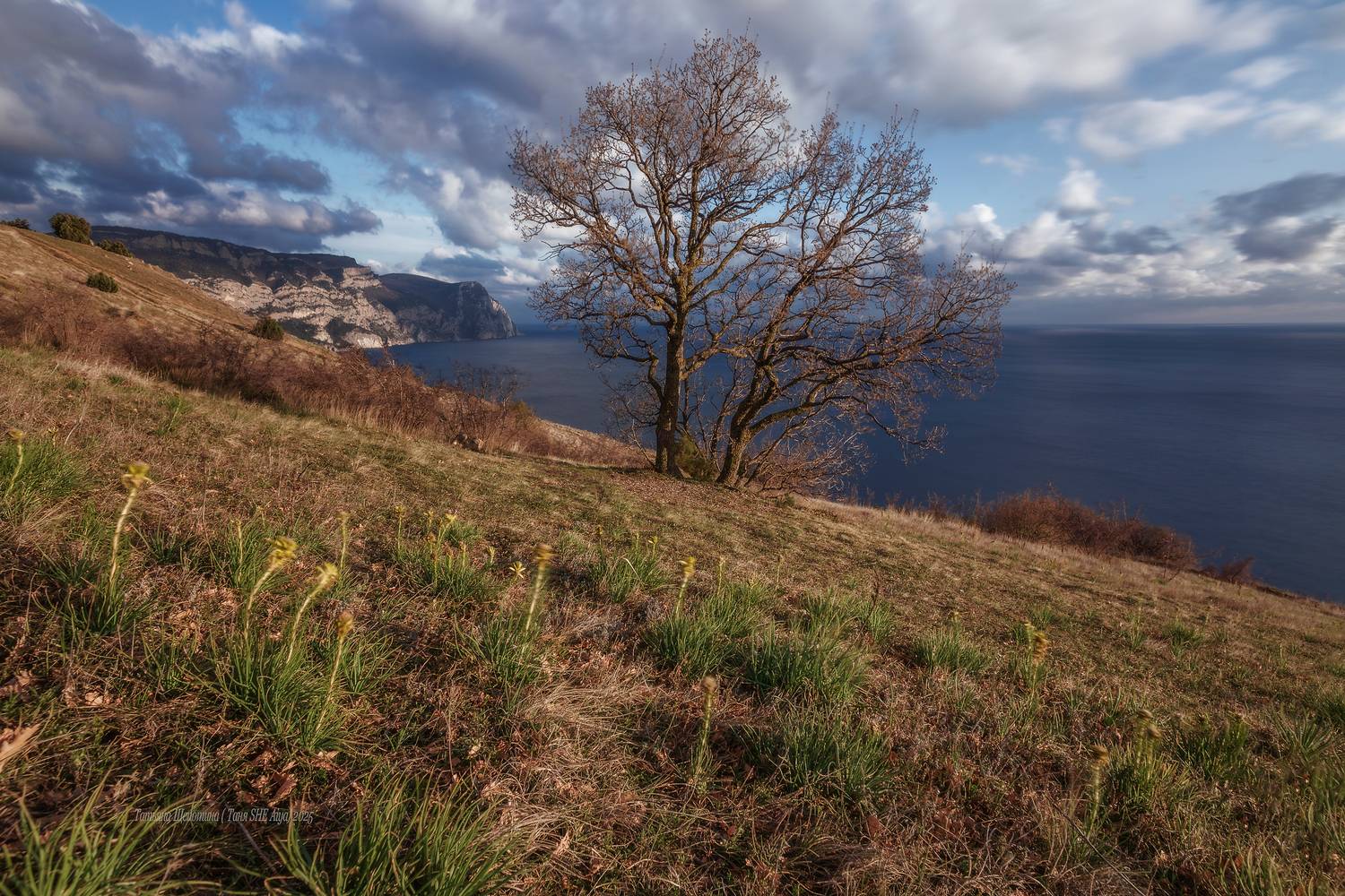 крым, балаклава, севастополь, пейзаж, crimea, landscape, крымский пейзаж, морской пейзаж, Щепотина Татьяна
