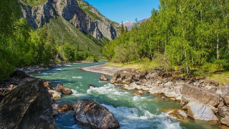 Чуя летняя фото превью