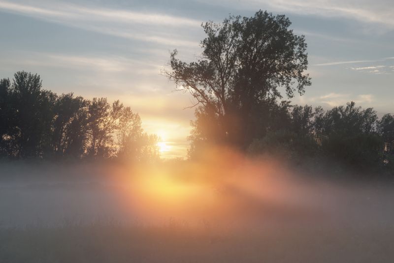 Туманные летние вечера фото превью