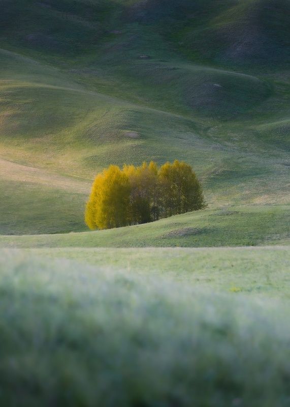 Бархатphoto preview